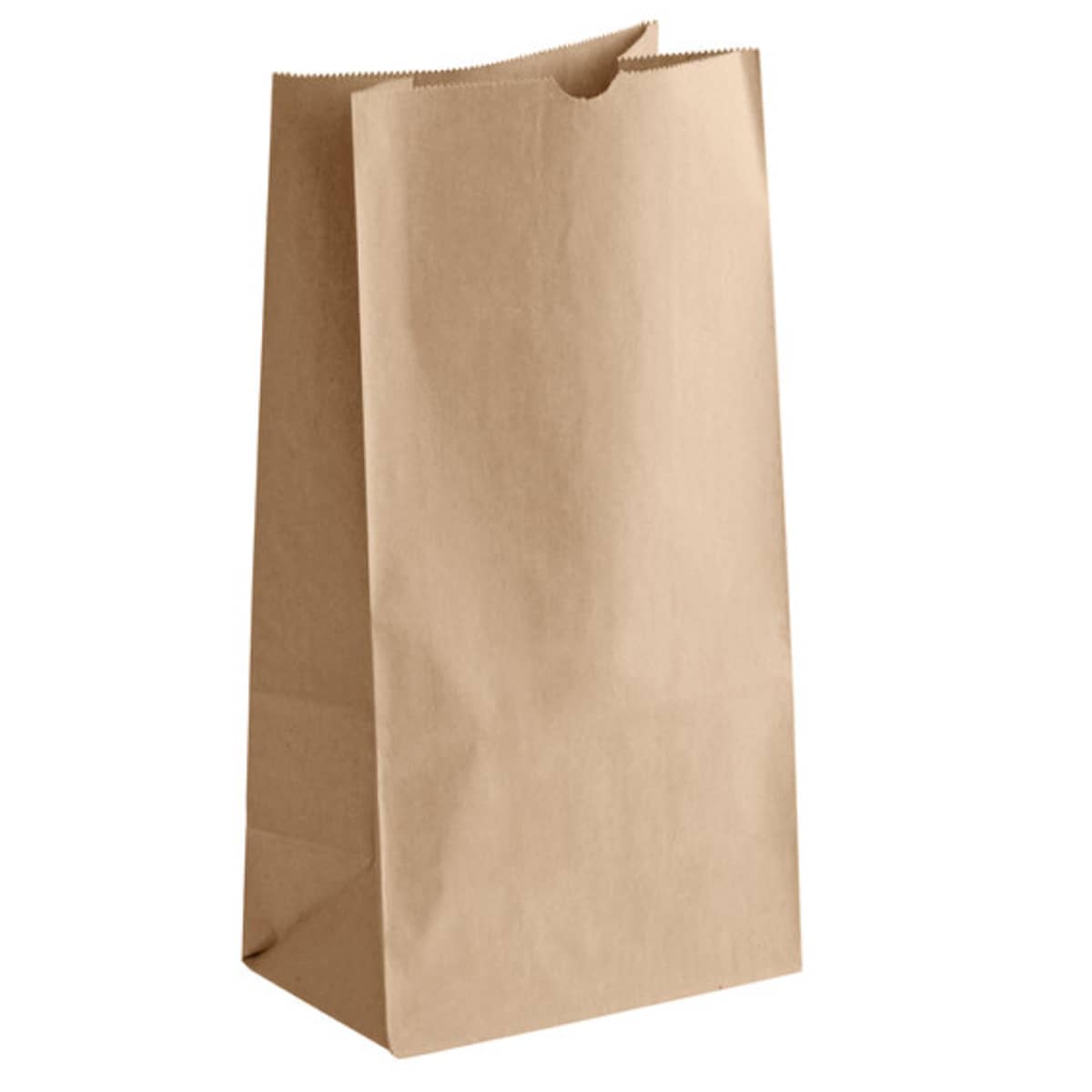 Inteplast Kraft Bags